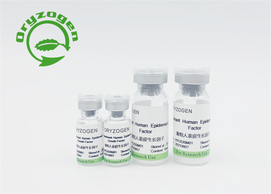 Factor de crecimiento derivado planta insípida del bFGF de EGF ningún componente animal