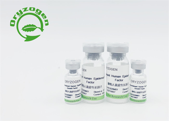 Factor de crecimiento recombinante libre componente animal EGF