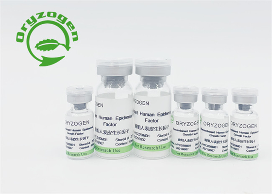 La alta bioactividad EGF derivado planta liofilizó el polvo para la piel renueva/reparación