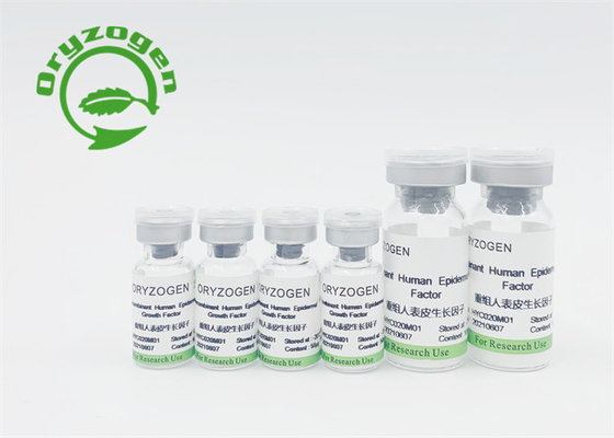 Suero epidérmico recombinante del factor de crecimiento para Skincare