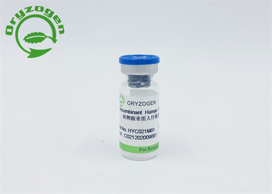 Fibronectin derivado planta FN para promover metabolismo de la célula epitelial