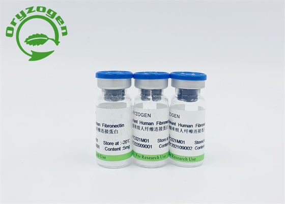 Grano Fibronectin humano recombinante del arroz para la detección del FN