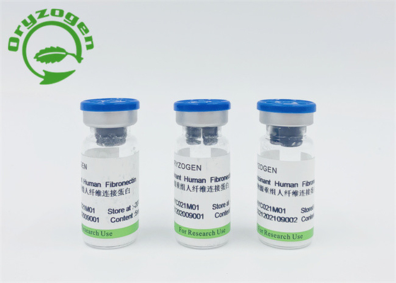 Componente animal Fibronectin humano recombinante libre CAS 86088-83-7