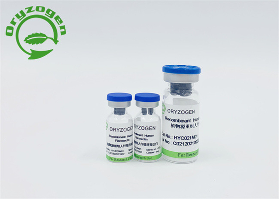 No pulverizada la sangre derivó a Fibronectin humano recombinante