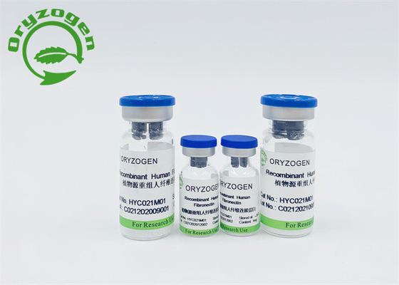 Grano Fibronectin humano recombinante sin suero del arroz 86088-83-7