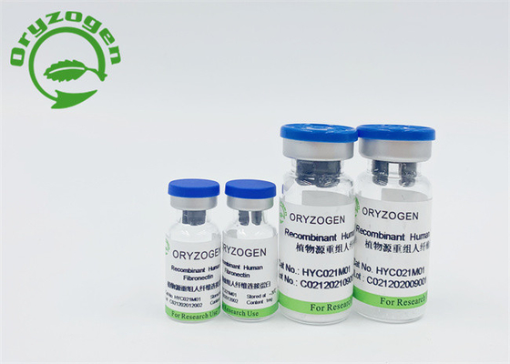 El Oryza Fibronectin humano recombinante Sativa liofilizó el polvo