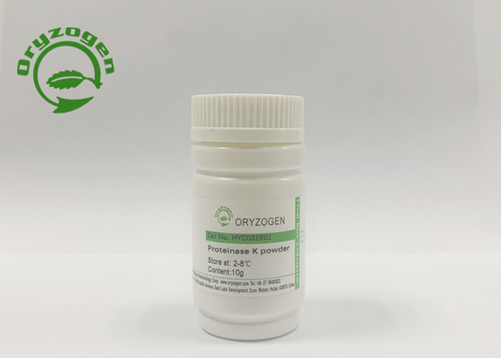 La levadura derivó el ácido nucléico del extracto recombinante de la proteinasa K