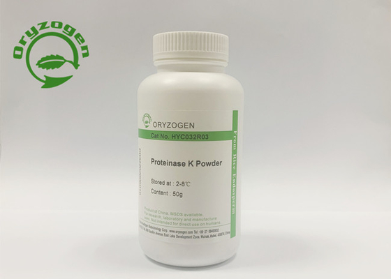 Proteína recombinante líquida y liofilizada del resumen de la proteinasa K del polvo