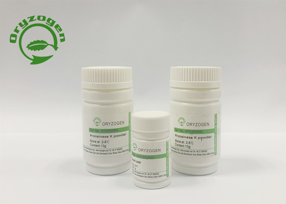La cinasa de proteína recombinante de la EC 3.4.21.14 K liofilizó el polvo