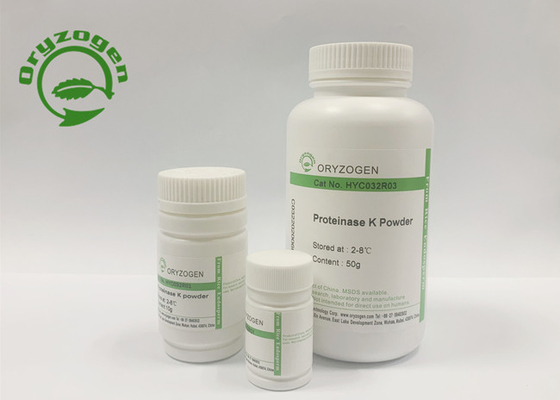 Proteinasa recombinante K de la fuente estable para las vacunas del polisacárido