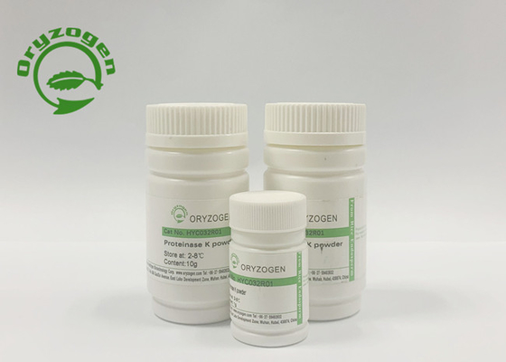 80kg/month proteinasa recombinante K para la extracción del ARN