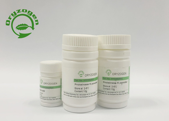 Proteinasa recombinante K para la extracción ácida nucléica Covid-19